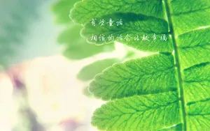 心灵语录文字壁纸_7