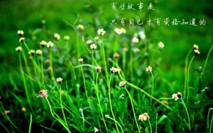 心灵语录文字壁纸_8