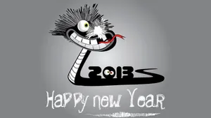 2013年新年图片桌面壁纸_15