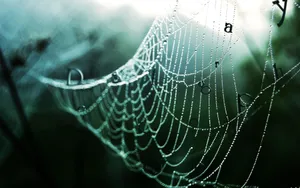创意设计合集 第三辑_12