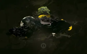 创意设计合集 第一辑_5