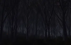 Digital三维 第四辑_11