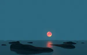 Digital三维 第四辑_12
