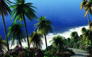 Digital三维 第三辑_7