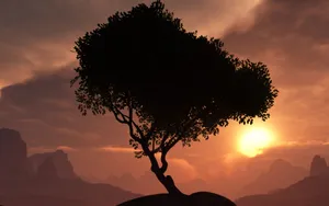 Digital三维 第三辑第17张