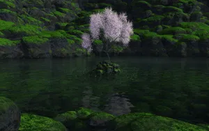Digital三维 第二辑_17