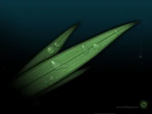 1600设计 第一辑_7