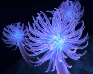 1280设计 第三辑_11