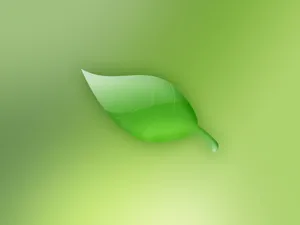 1024设计 第16辑_19