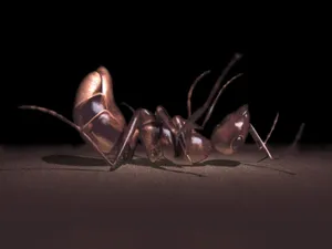 三D设计 第一辑_10
