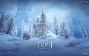 Tera高清游戏桌面壁纸_7