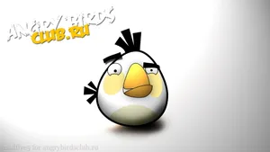 愤怒的小鸟图片壁纸大全_5