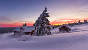 唯美高清雪景大图_3