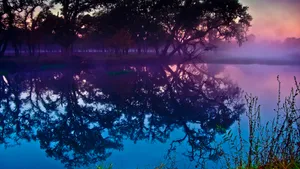 自然界唯美风光桌面壁纸_3