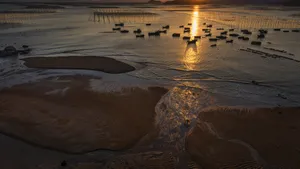 福建霞浦北岐海滩风光_9