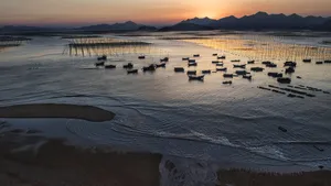 福建霞浦北岐海滩风光_10
