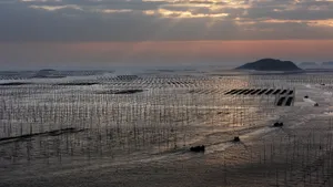 福建霞浦北岐海滩风光_11