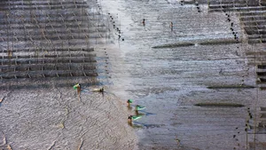 福建霞浦北岐海滩风光_14
