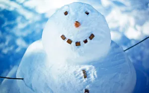 冬季雪人图片_7