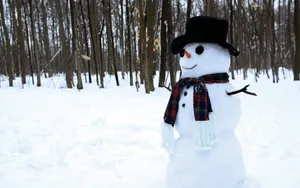 冬季雪人图片_9