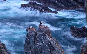Bing官方主题风景壁纸_10