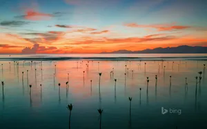Bing官方主题风景壁纸_12