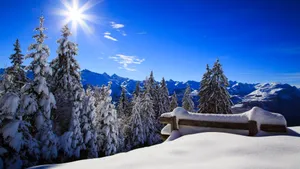 冬季雪景高清壁纸