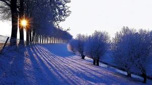 冬季雪景高清壁纸_2