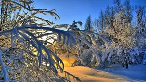 冬季雪景高清壁纸_3