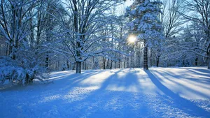 冬季雪景高清壁纸_5