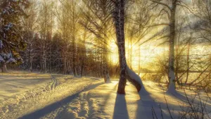 冬季雪景高清壁纸_7