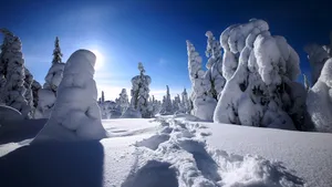 冬季雪景高清壁纸_8
