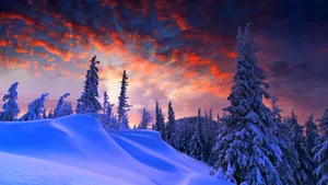 冬季雪景高清壁纸_10