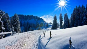 冬季雪景高清壁纸_12
