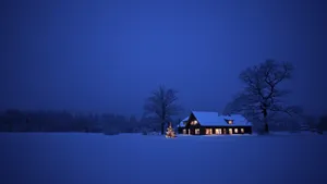 唯美冬季意境雪景壁纸_3