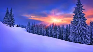 唯美冬季意境雪景壁纸_7