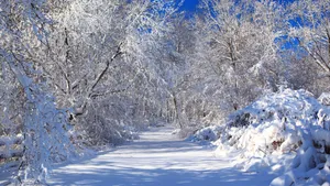 大雪后的山间道路图片_2