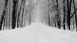 大雪后的山间道路图片_5