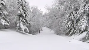 大雪后的山间道路图片_7