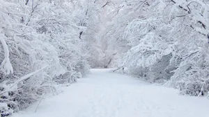 大雪后的山间道路图片_8