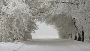 大雪后的山间道路图片_10