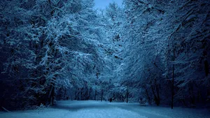 大雪后的山间道路图片_12
