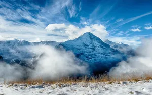 唯美冬季冰天雪地图片_7