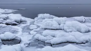 冬季雪景图片壁纸_4