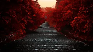 唯美台阶石阶风景壁纸_7