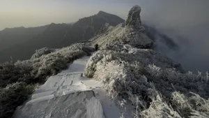 唯美台阶石阶风景壁纸_13