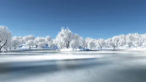 寒夜初雪景色壁纸_10
