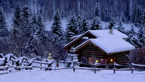 寒夜初雪景色壁纸_11