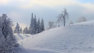 寒夜初雪景色壁纸_13