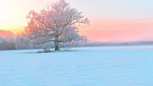 冬季唯美雪景图片壁纸_10